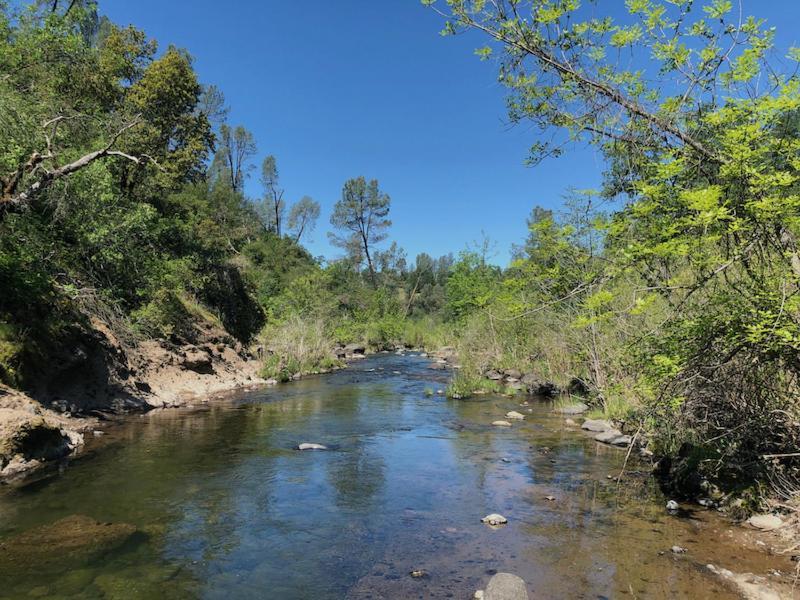 Bear Creek Falls Lodge On 67 Acres Creek & Waterfalls Millville Luaran gambar